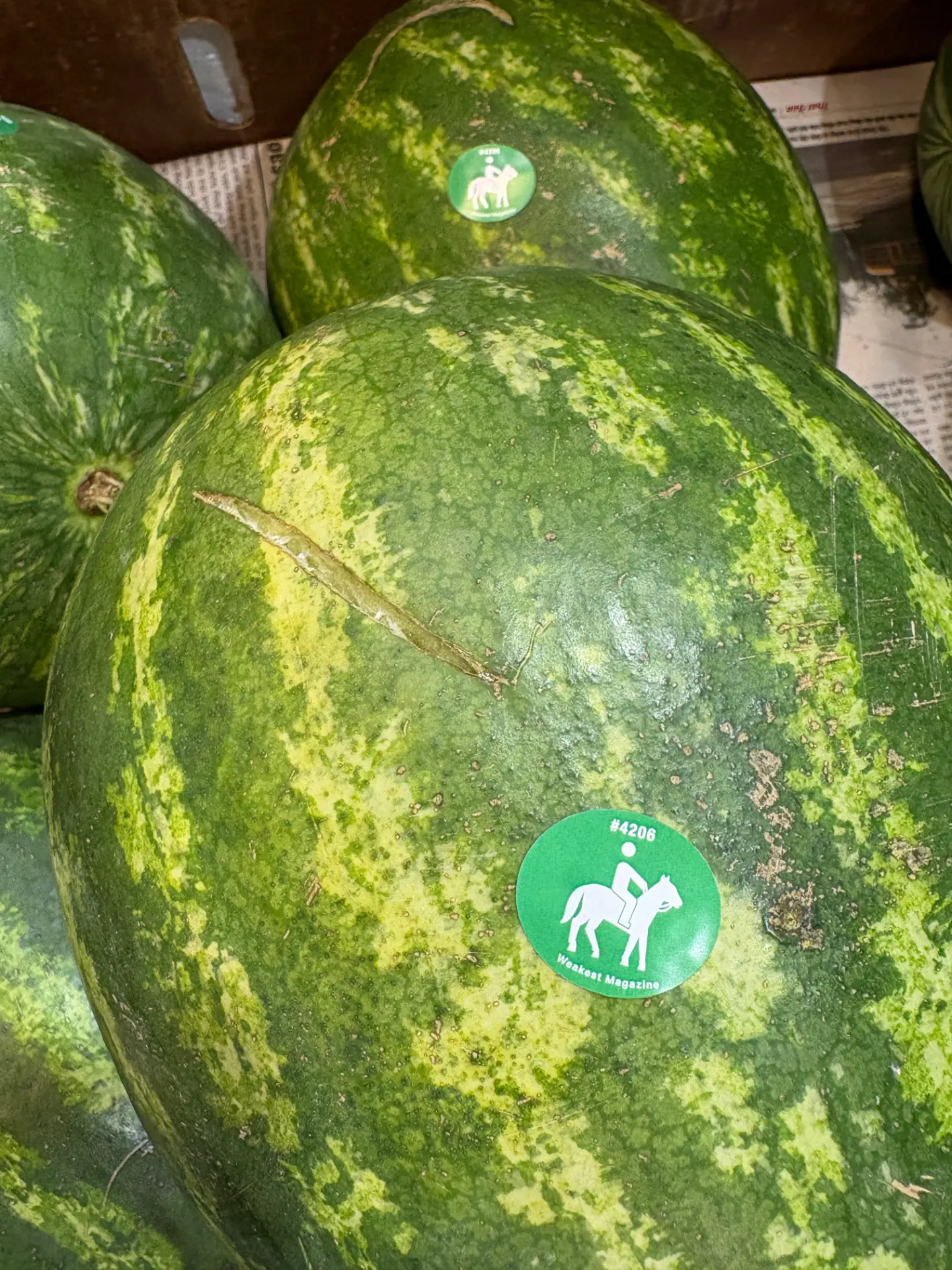 weakest magazine — fruit stickers